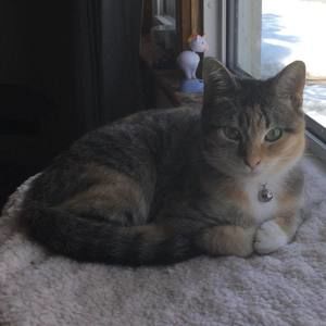 Meet your Posher, Patti